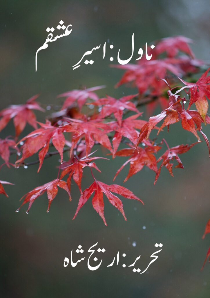 Aseer e Ishqam Novel by Areej Shah