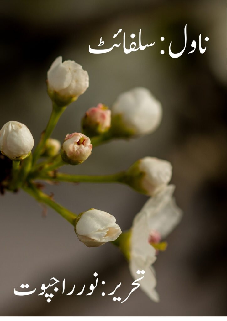 Sulphite Novel by Noor Rajpoot